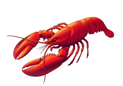 Imagen PNG para descargar